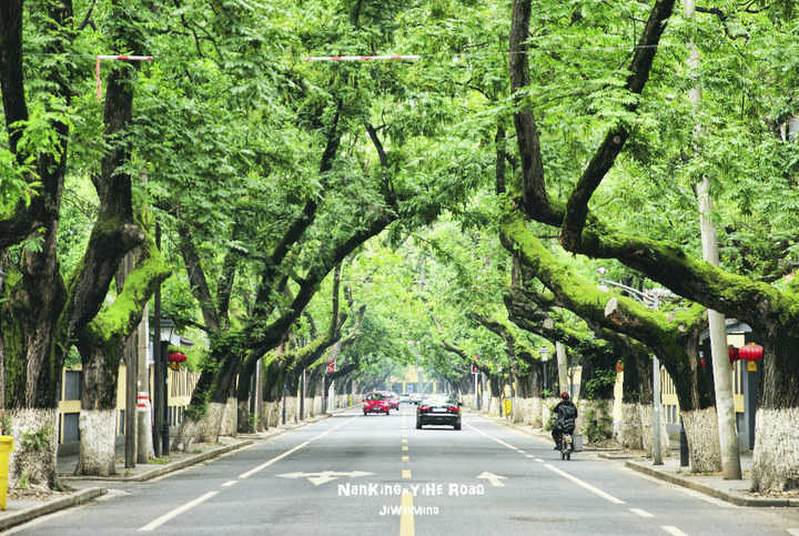 交笔友:江苏省-南京市 1999-08-19  女