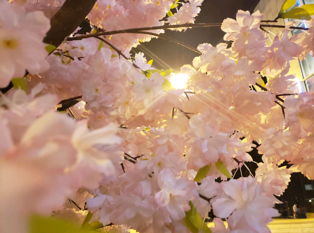 交笔友:浙江省-舟山市 2001-01-01  女