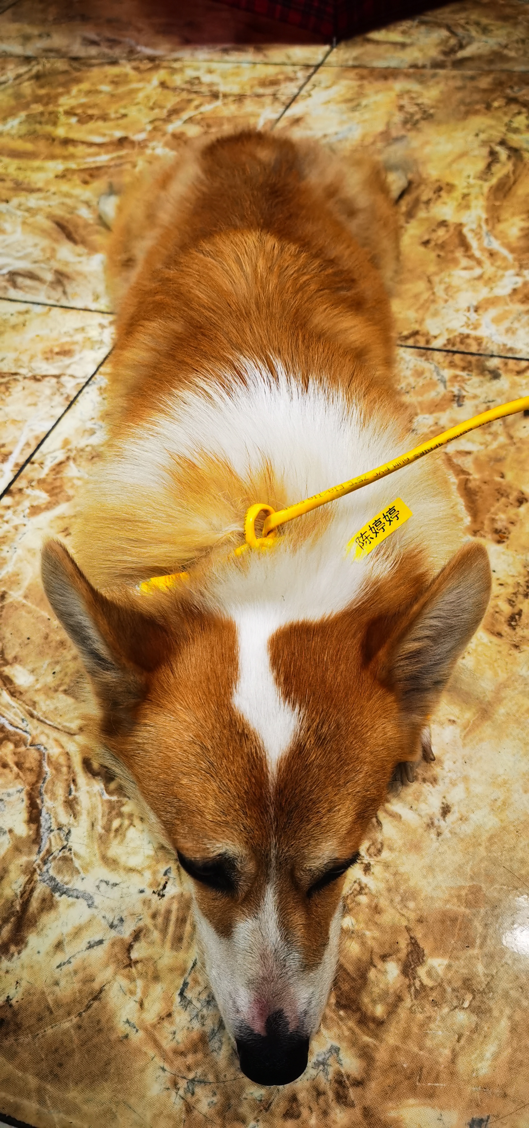 交笔友:四川省-德阳市 1983-06-06  女