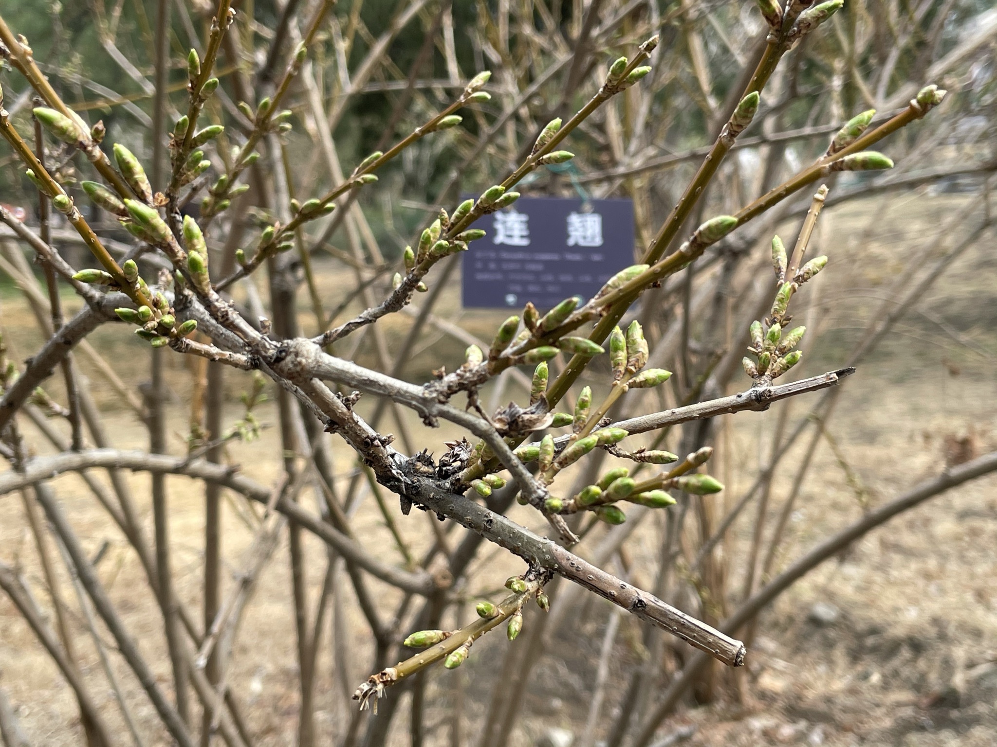 交笔友:北京市-北京市 1995-02-05  男