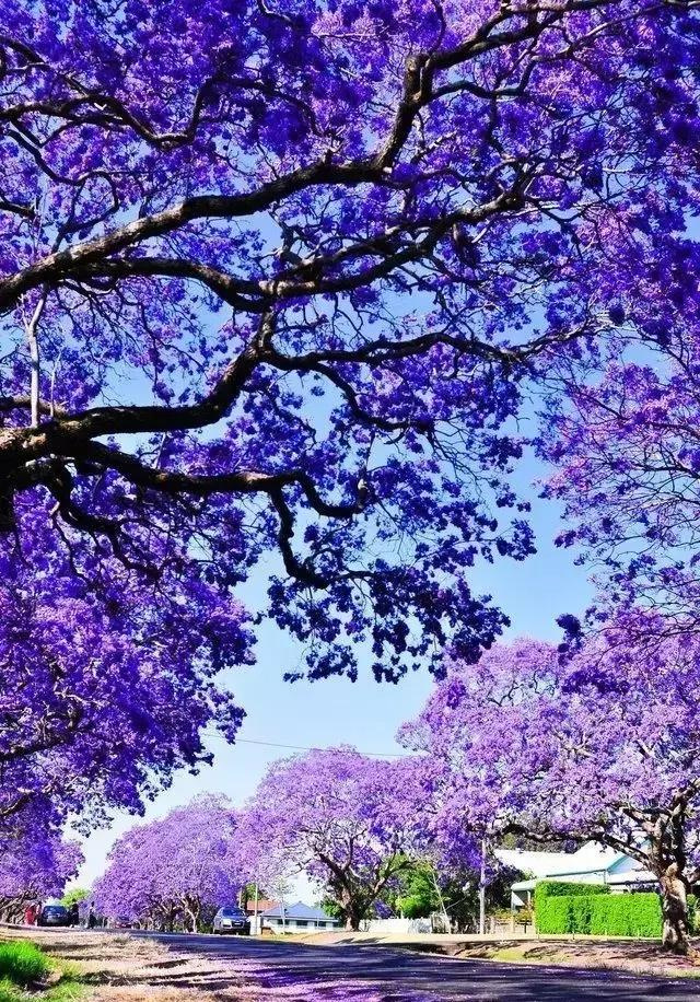 交笔友:甘肃省-兰州市 1996-12-16  男