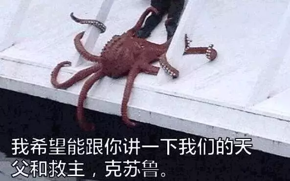 交笔友:浙江省-杭州市 2001-12-12  女