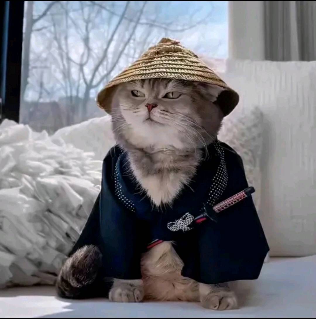 交笔友:山西省-忻州市 2001-09-12  男