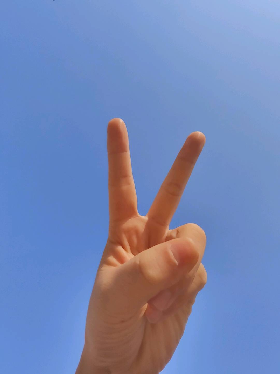 交笔友: 2002-02-17  女