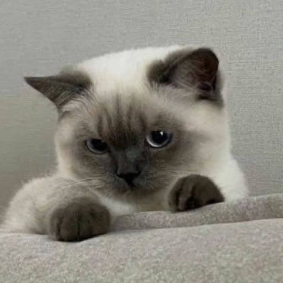 交笔友: 2009-03-22  女