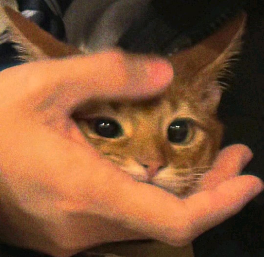 交笔友: 2004-02-22  女