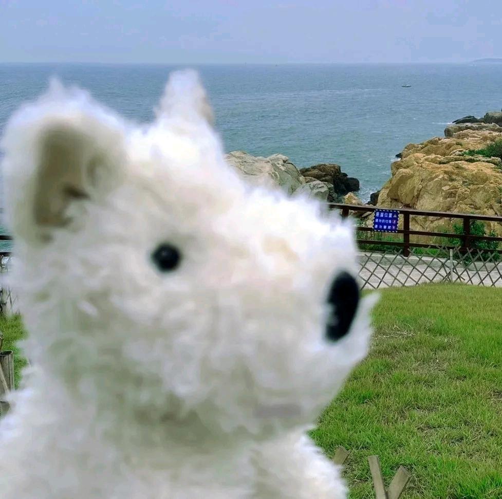 交笔友: 2002-08-31  女