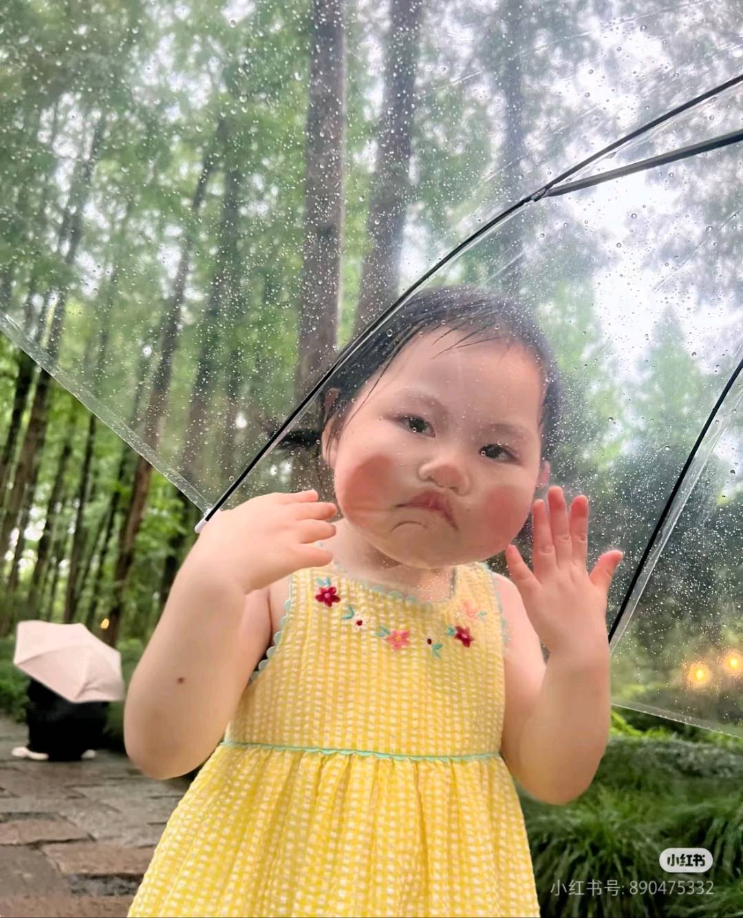 【交笔友】爱吃橘子🍊