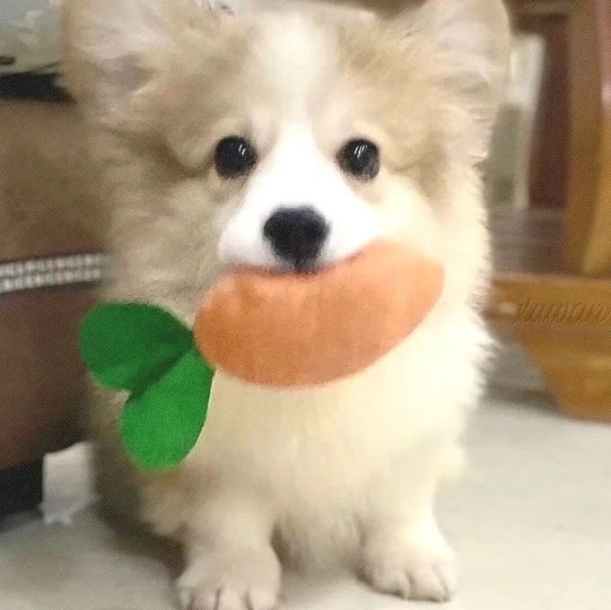 交笔友:福建省-莆田市 2023-10-08  女