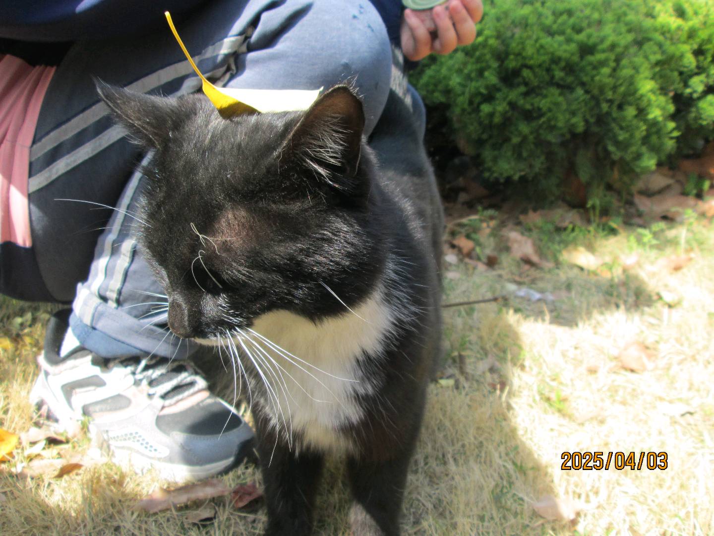 交笔友:江苏省-南京市 2007-05-13  女