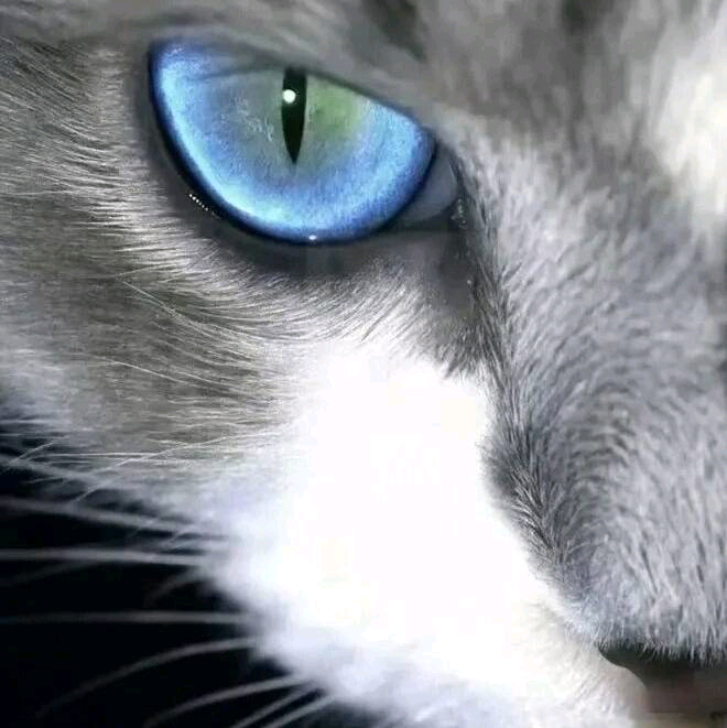 【交笔友】依旧