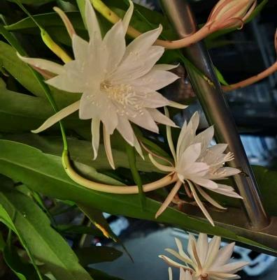 交笔友: 2002-06-23  女