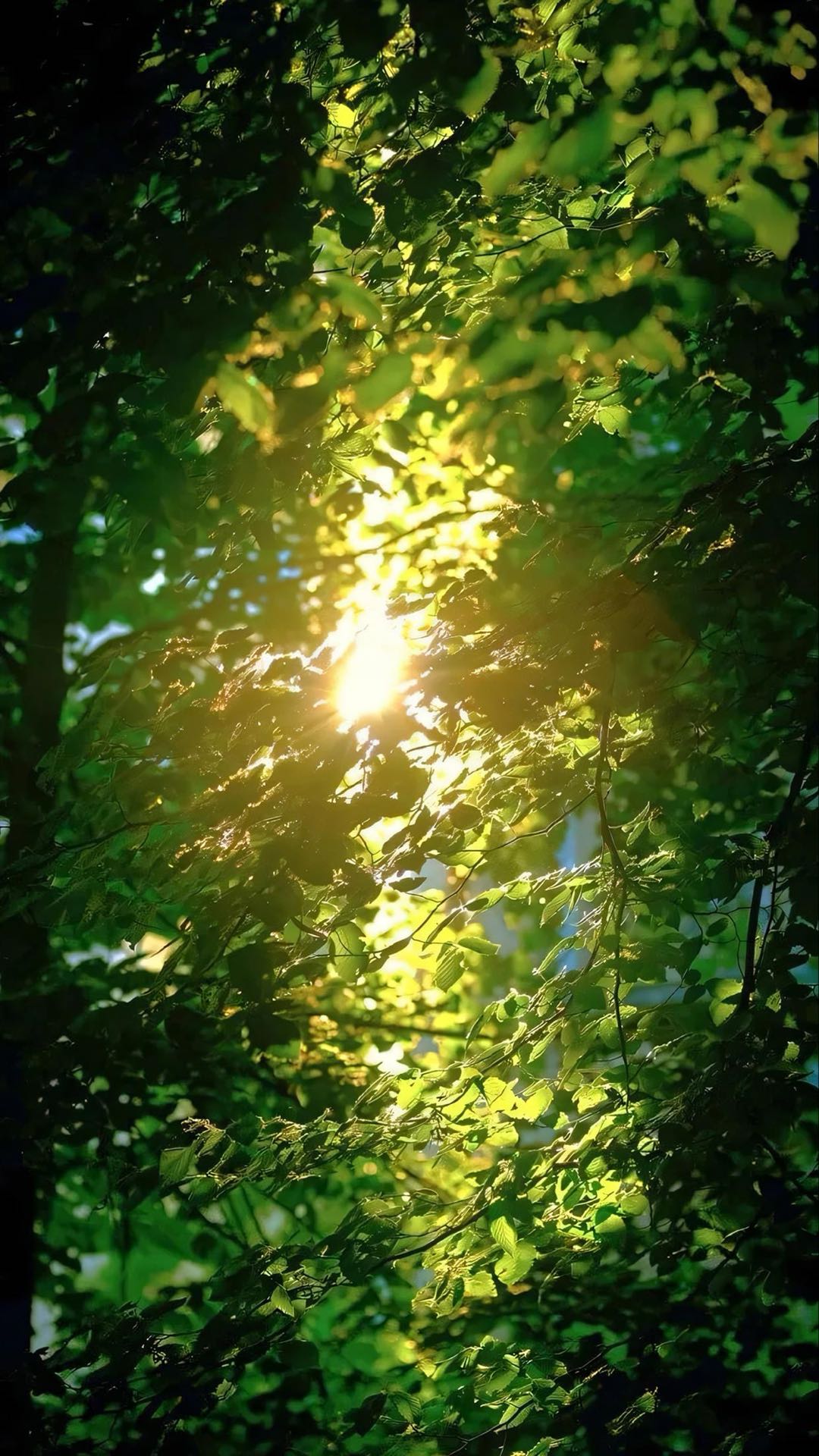 交笔友: 2001-12-28  女