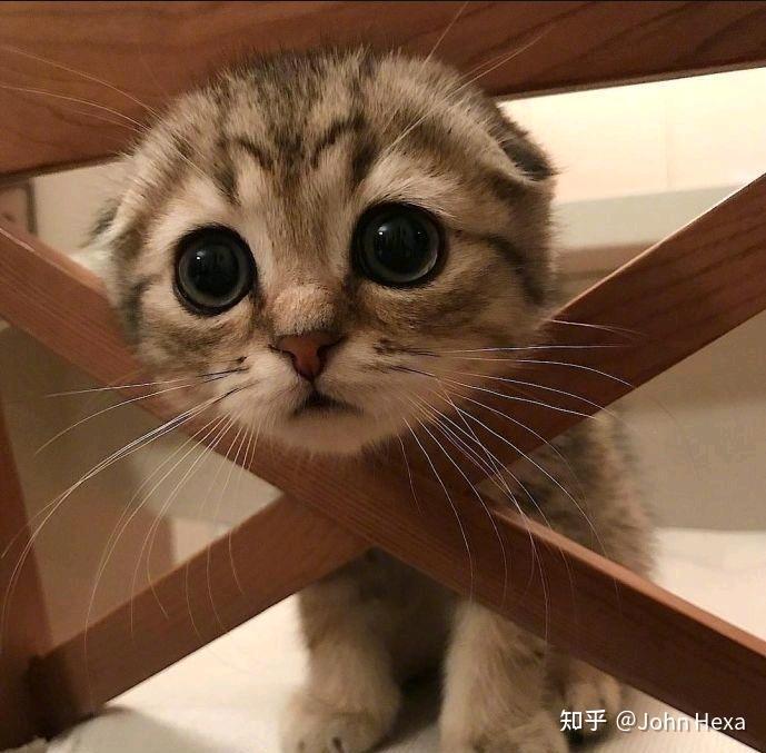 交笔友: 2001-11-27  男