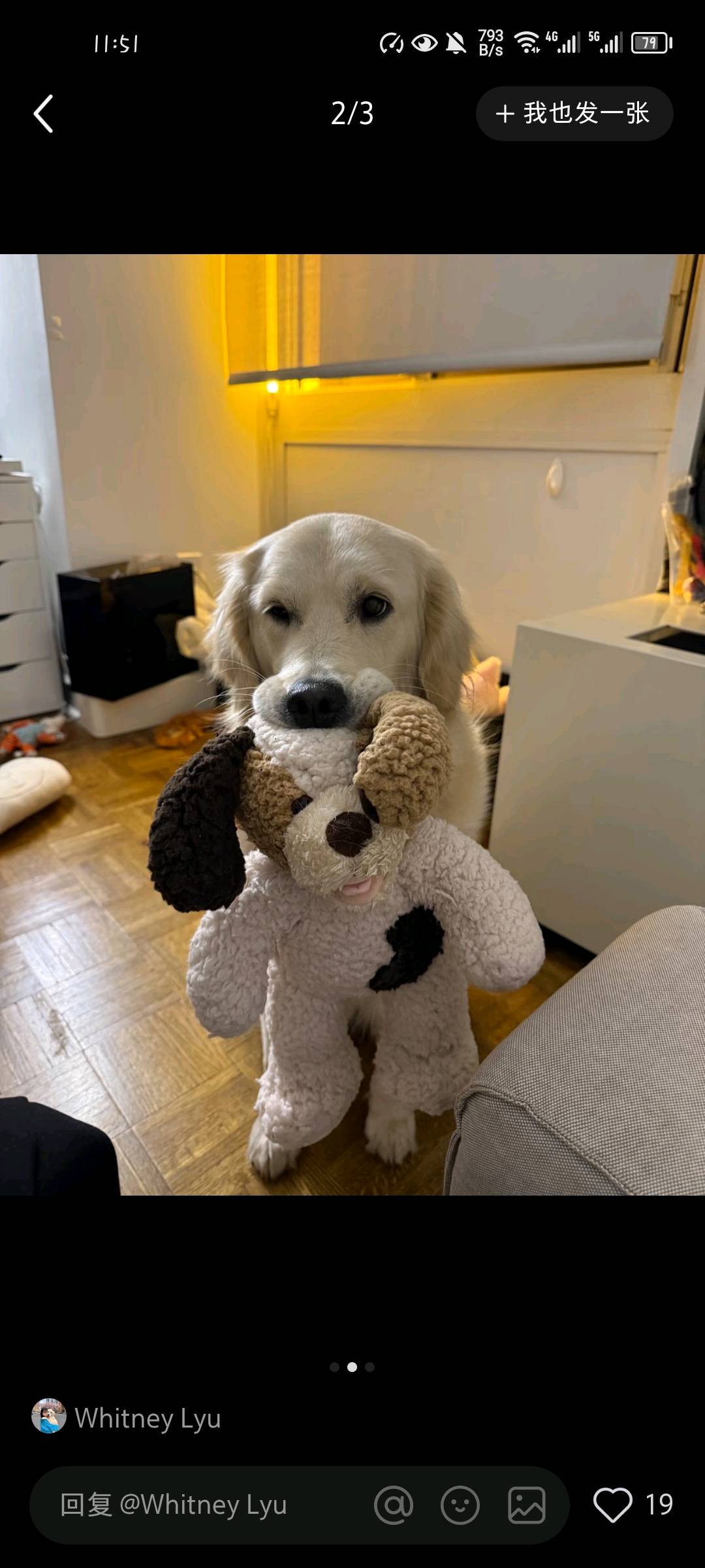 交笔友: 2003-07-31  女