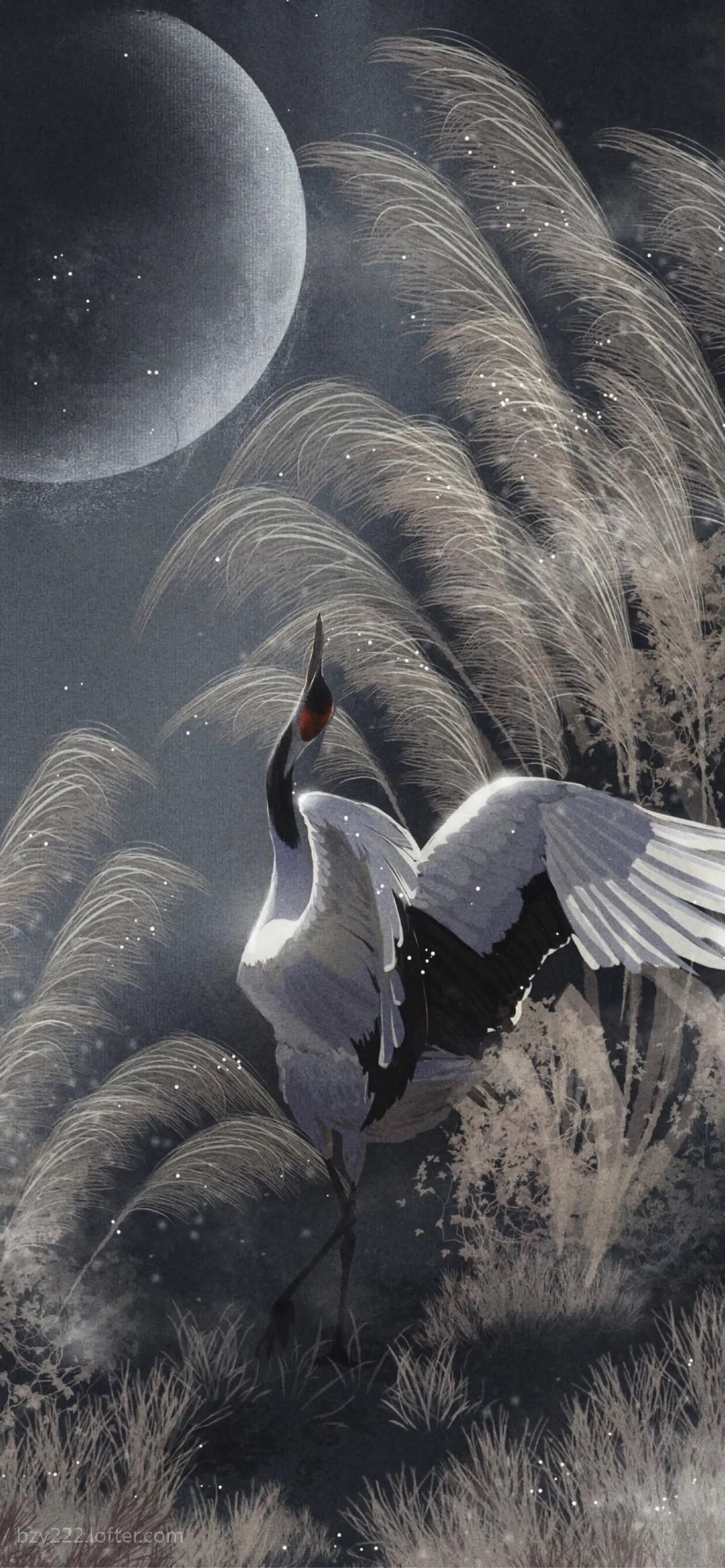 交笔友: 2023-12-31  女