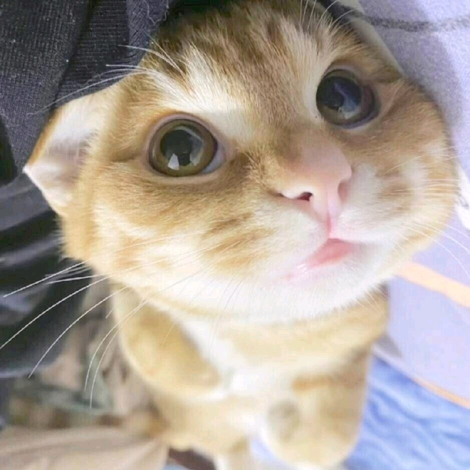 【交笔友】空调不够冷