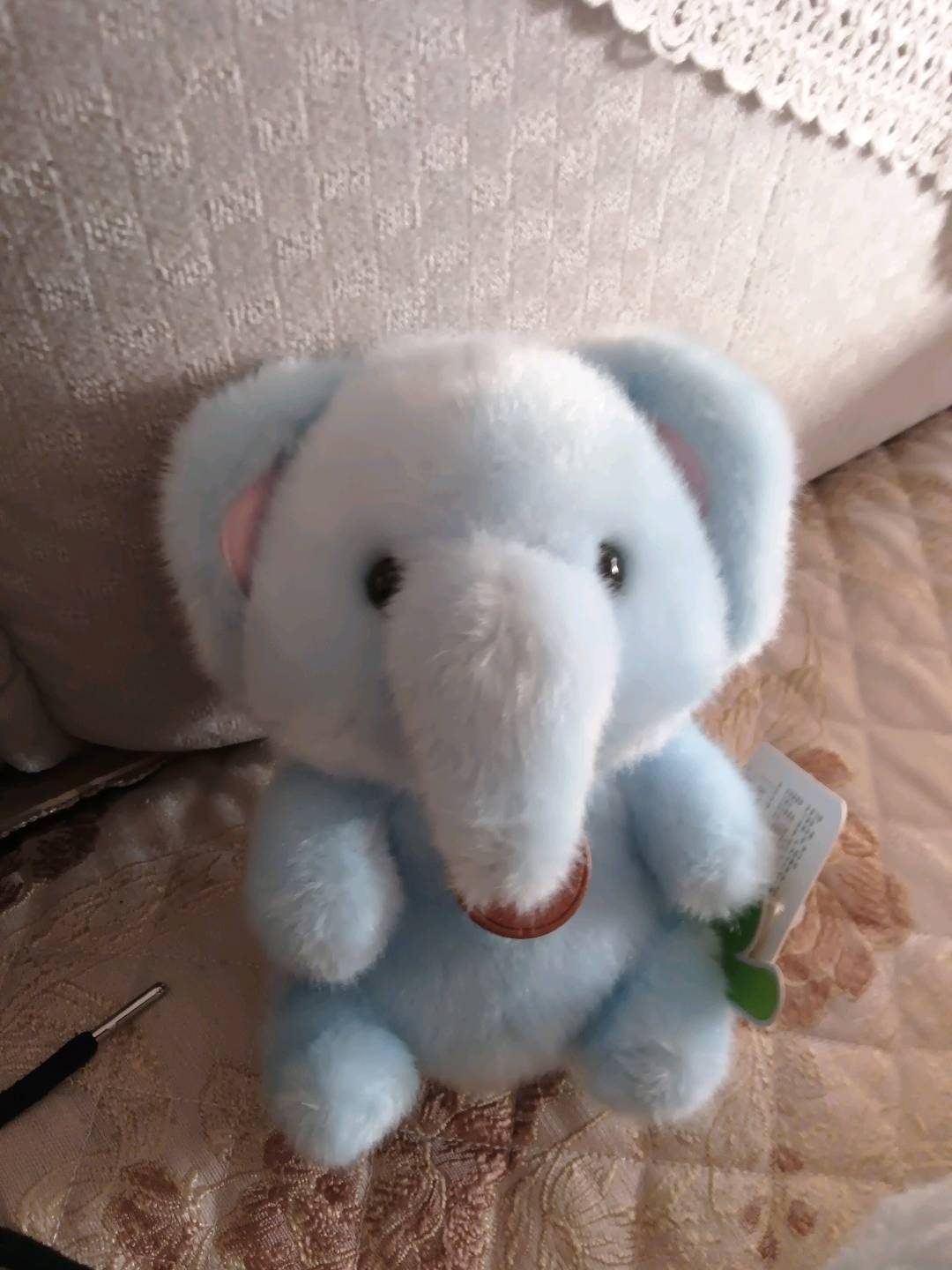 【交笔友】黑鹳