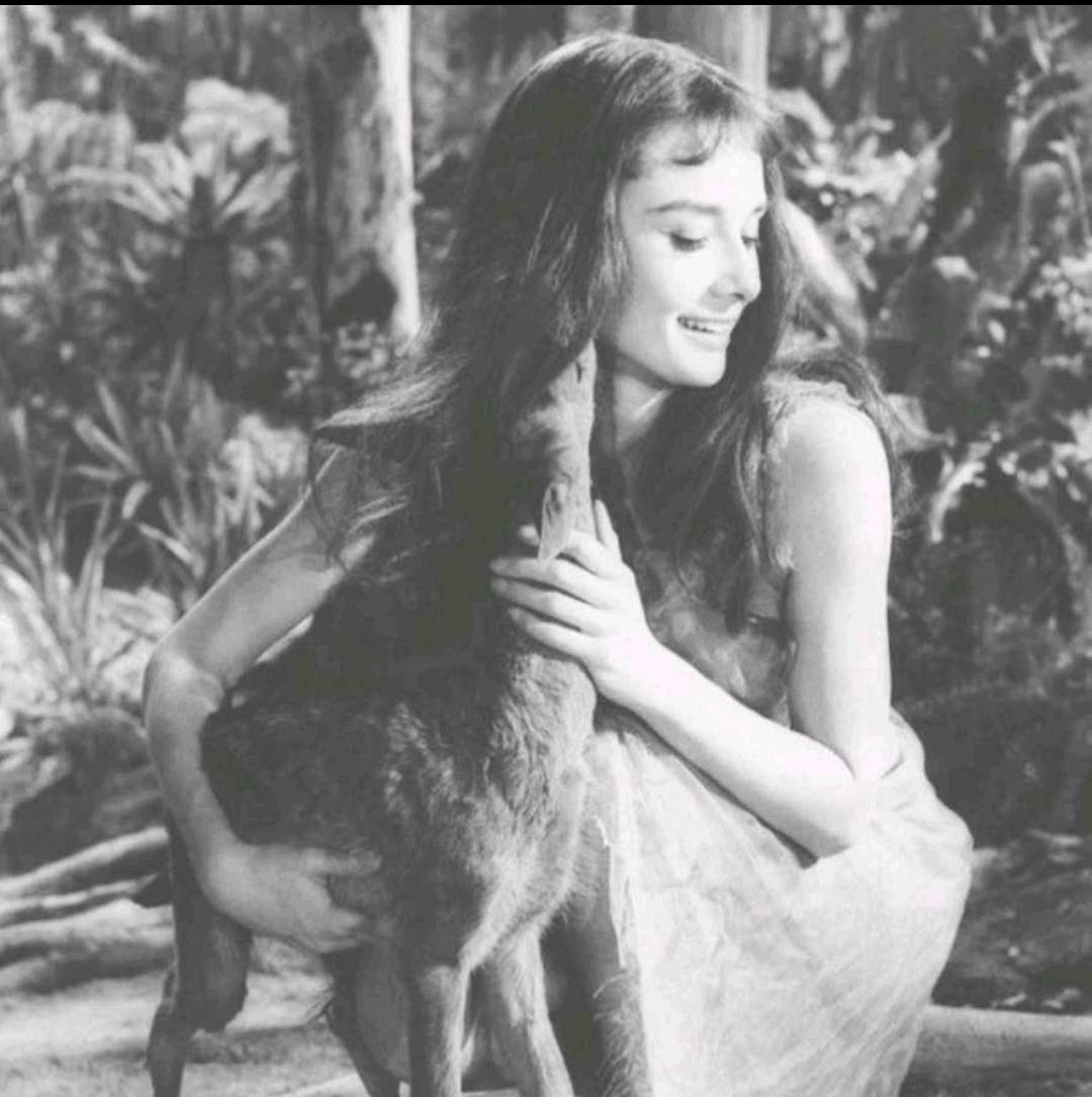 【交笔友】榛榆