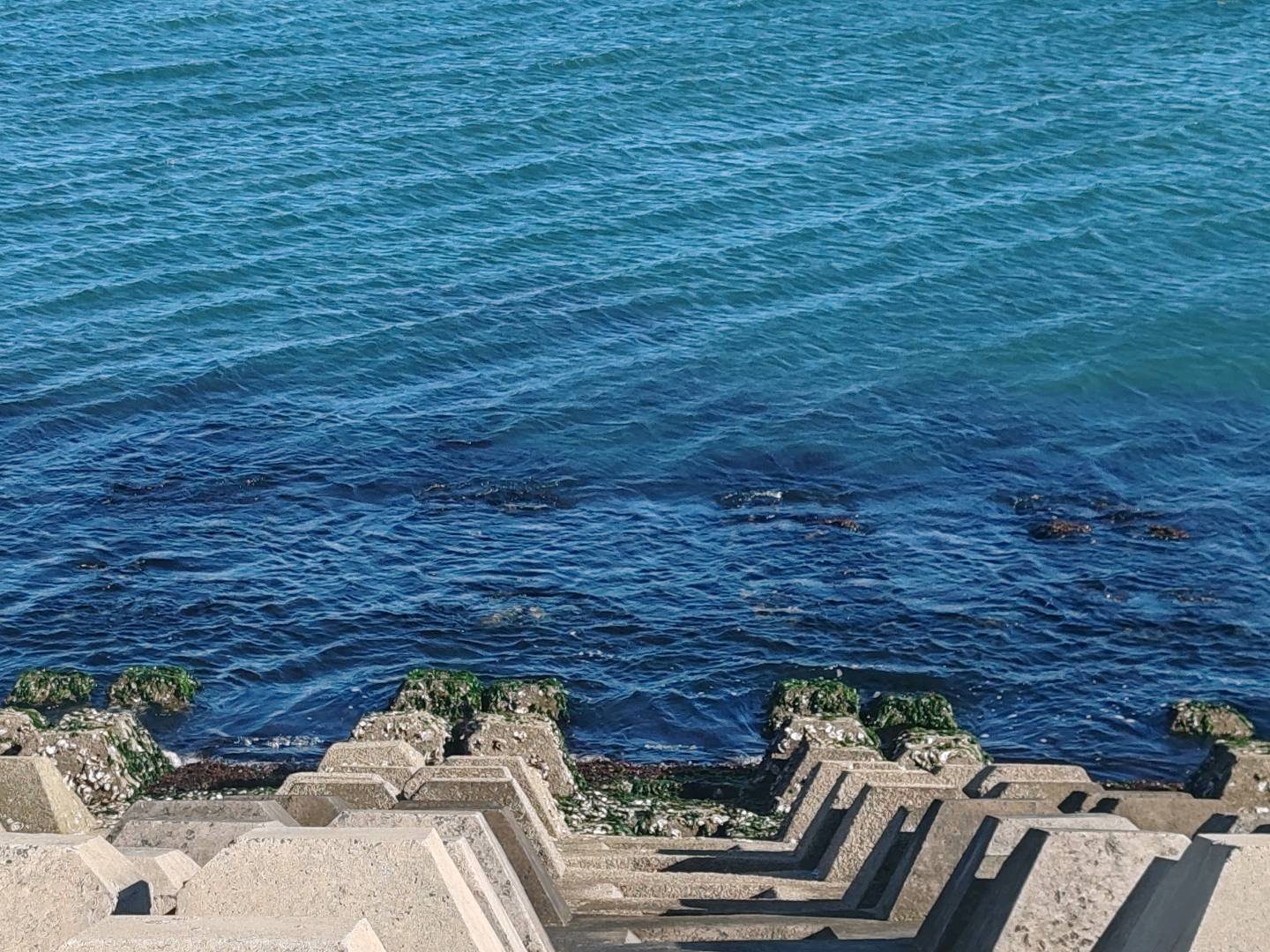 交笔友: 2004-12-26  男