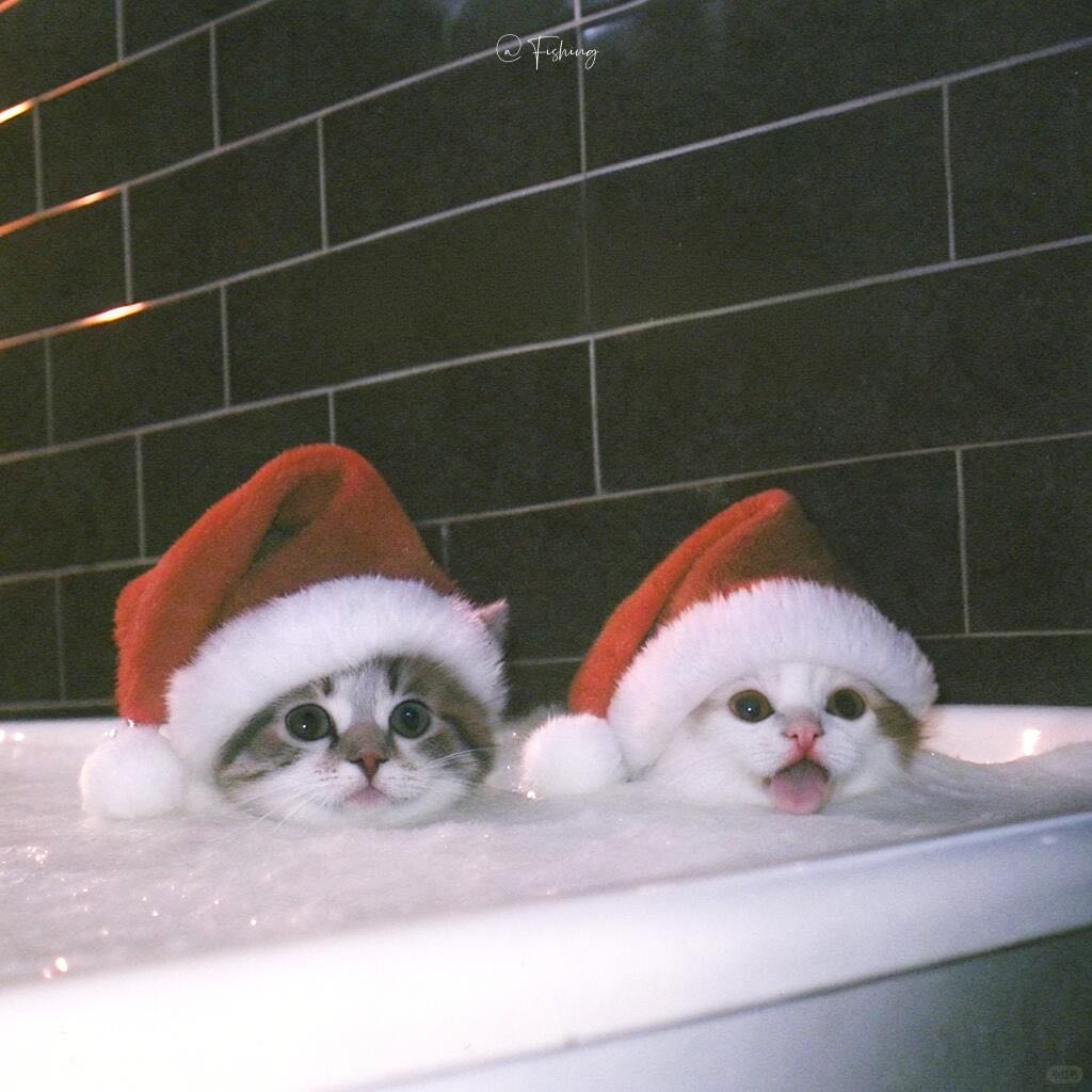 交笔友:四川省-成都市 1997-09-06  男