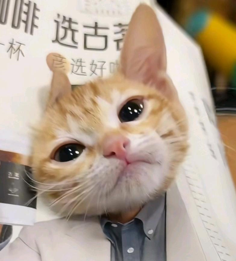 【交笔友】Cherry