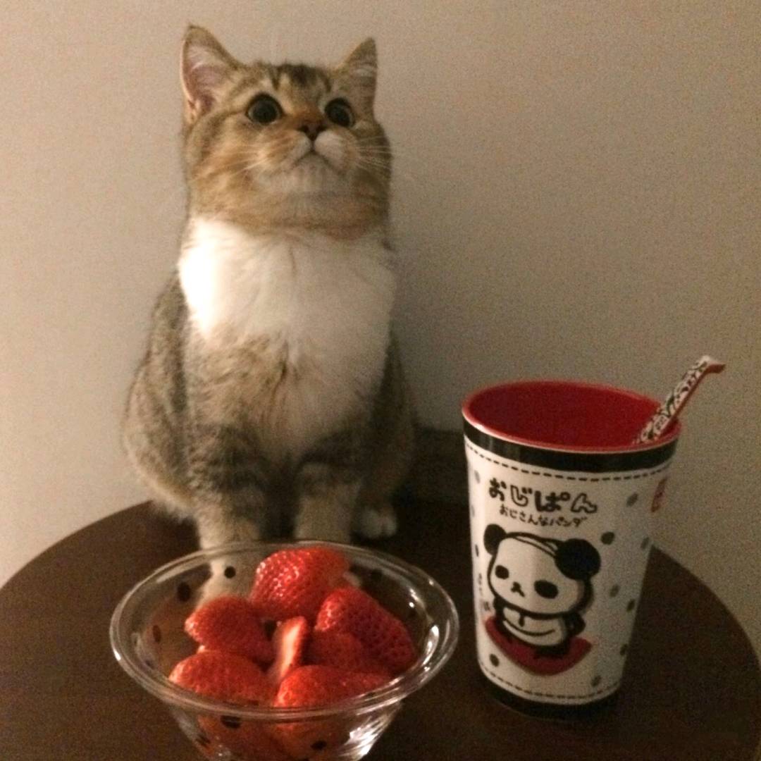 交笔友: 2002-09-29  女