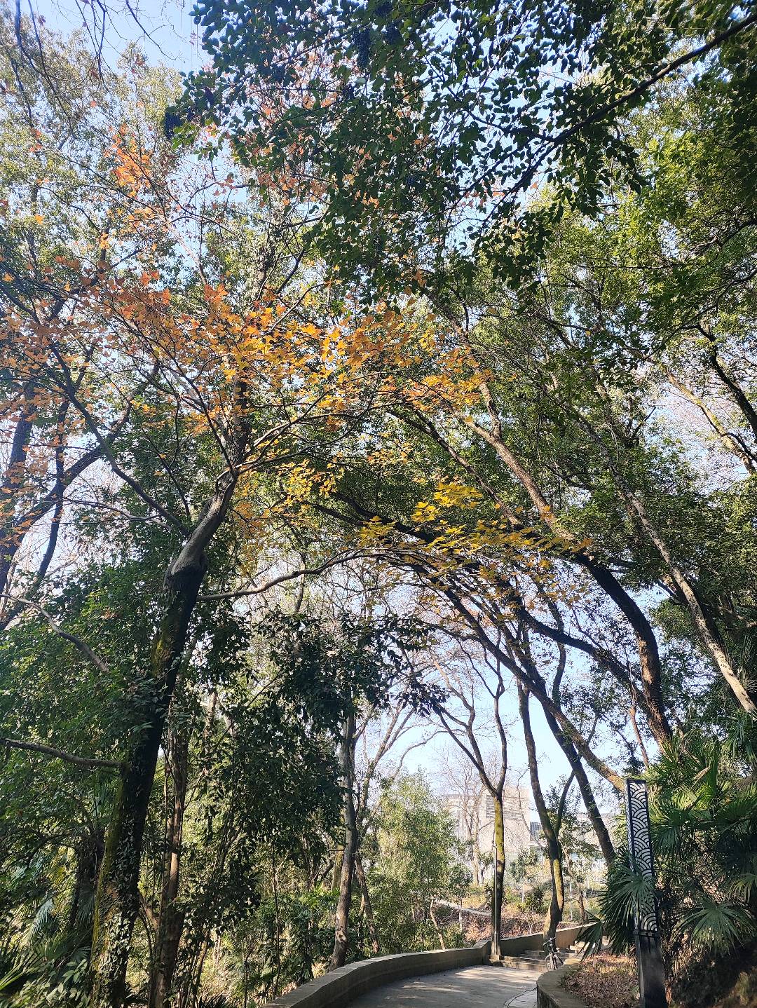 交笔友: 2005-03-10  女