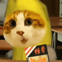 交笔友: 2005-01-24  女