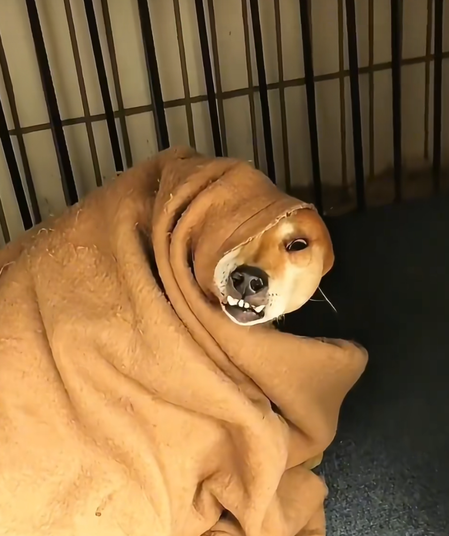 交笔友: 2000-04-25  男