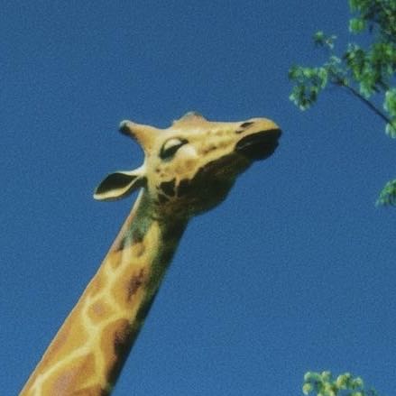 交笔友: 2004-04-30  女