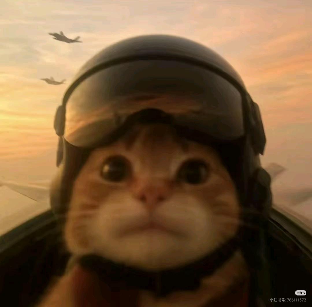 交笔友:甘肃省-嘉峪关市 2008-10-28  男