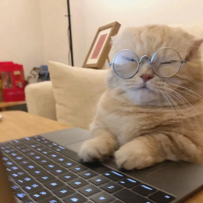 【交笔友】虞零