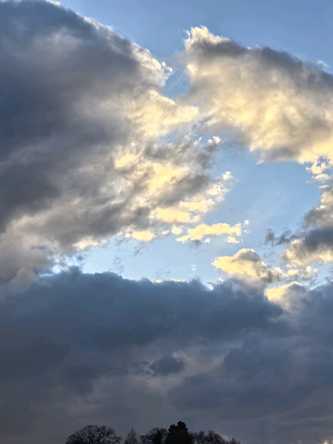 交笔友: 2009-08-18  女