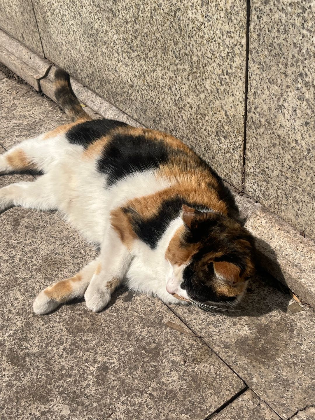 交笔友: 2005-01-03  女