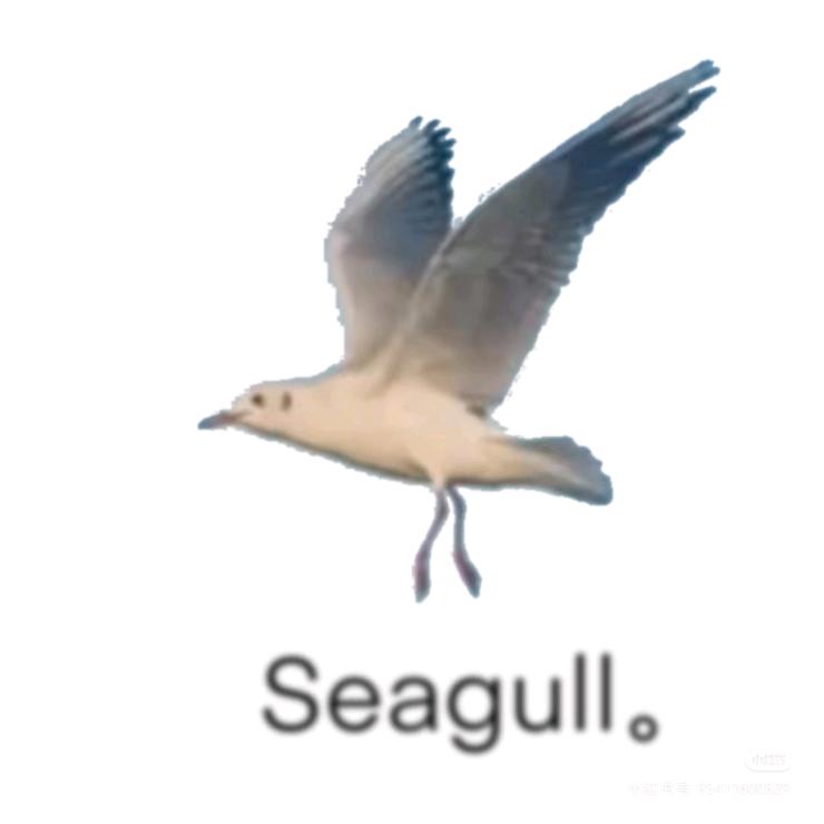 【交笔友】壹摆