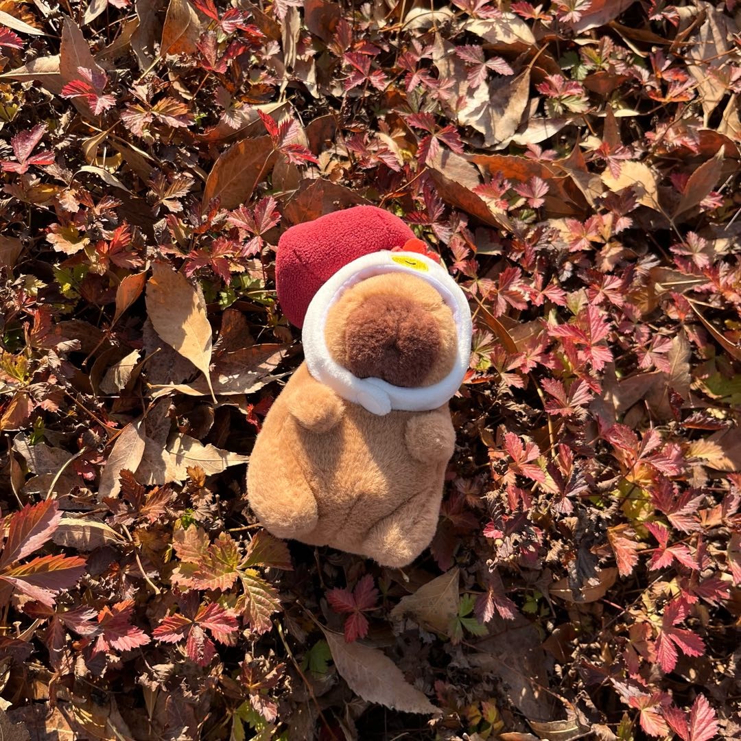 交笔友: 2010-02-18  女